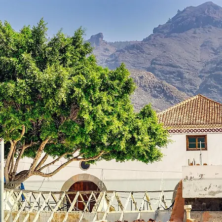 Lägenhet Alse Homes Adeje Mountain Costa Adeje (Tenerife)